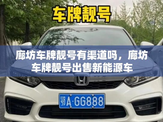 廊坊车牌靓号有渠道吗,廊坊车牌靓号出售新能源车-第3张图片-七号汽车选号 廊坊车牌靓号有渠道吗,廊坊车牌靓号出售新能源车-第3张图片-七号汽车选号