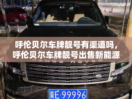 呼伦贝尔车牌靓号有渠道吗,呼伦贝尔车牌靓号出售新能源车-第2张图片-七号汽车选号 呼伦贝尔车牌靓号有渠道吗,呼伦贝尔车牌靓号出售新能源车-第2张图片-七号汽车选号