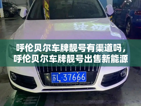 呼伦贝尔车牌靓号有渠道吗,呼伦贝尔车牌靓号出售新能源车-第3张图片-七号汽车选号 呼伦贝尔车牌靓号有渠道吗,呼伦贝尔车牌靓号出售新能源车-第3张图片-七号汽车选号