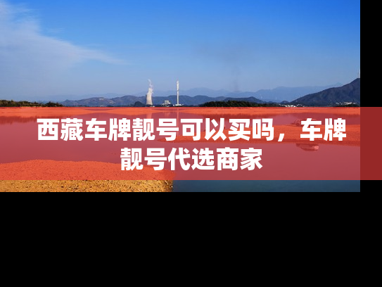 西藏车牌靓号可以买吗，车牌靓号代选商家