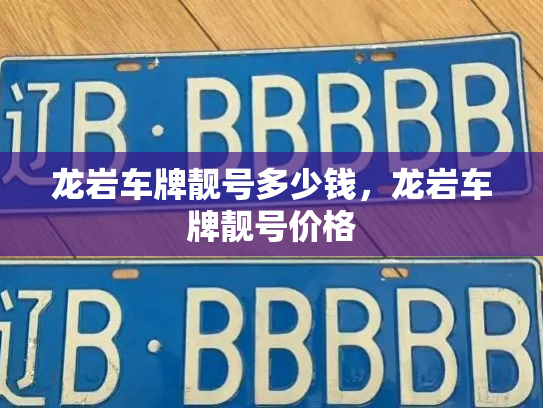 龙岩车牌靓号多少钱，龙岩车牌靓号价格-第3张图片-七号汽车选号