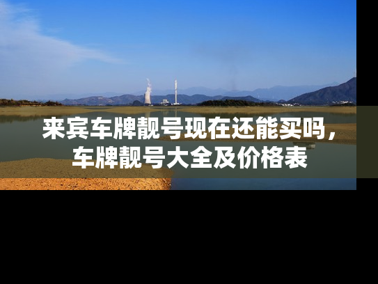 来宾车牌靓号现在还能买吗，车牌靓号大全及价格表