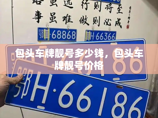 包头车牌靓号多少钱,包头车牌靓号价格-第3张图片-七号汽车选号 包头车牌靓号多少钱,包头车牌靓号价格-第3张图片-七号汽车选号