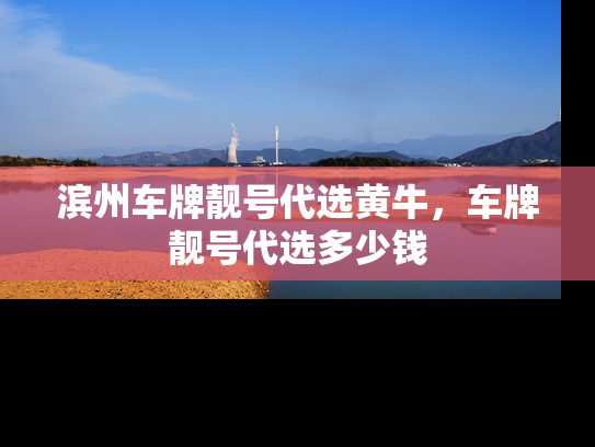 滨州车牌靓号代选黄牛，车牌靓号代选多少钱