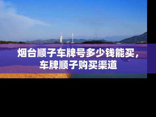 烟台顺子车牌号多少钱能买，车牌顺子购买渠道