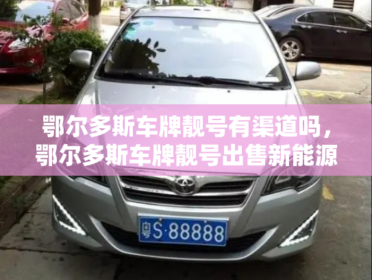 鄂尔多斯车牌靓号有渠道吗,鄂尔多斯车牌靓号出售新能源车-第2张图片-七号汽车选号 鄂尔多斯车牌靓号有渠道吗,鄂尔多斯车牌靓号出售新能源车-第2张图片-七号汽车选号