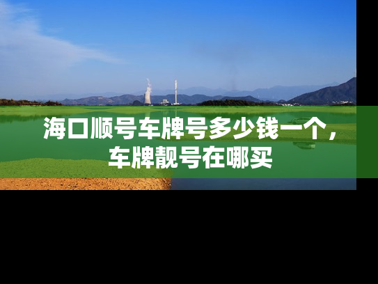 海口顺号车牌号多少钱一个，车牌靓号在哪买