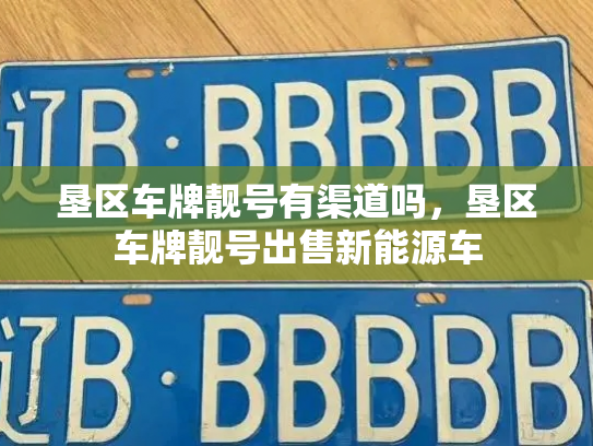 垦区车牌靓号有渠道吗，垦区车牌靓号出售新能源车-第3张图片-七号汽车选号