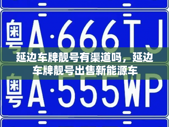 延边车牌靓号有渠道吗，延边车牌靓号出售新能源车-第2张图片-七号汽车选号