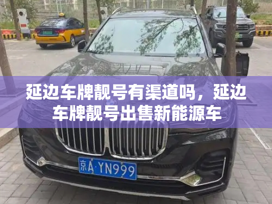延边车牌靓号有渠道吗，延边车牌靓号出售新能源车-第3张图片-七号汽车选号