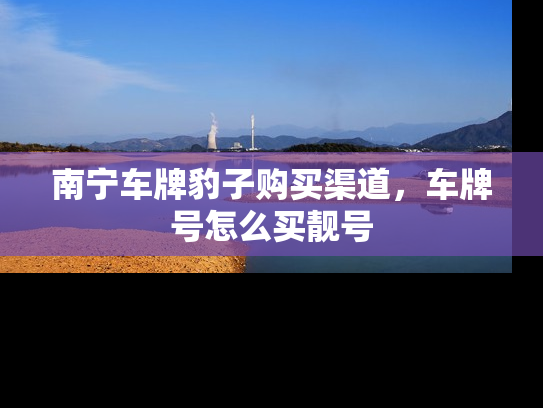 南宁车牌豹子购买渠道，车牌号怎么买靓号