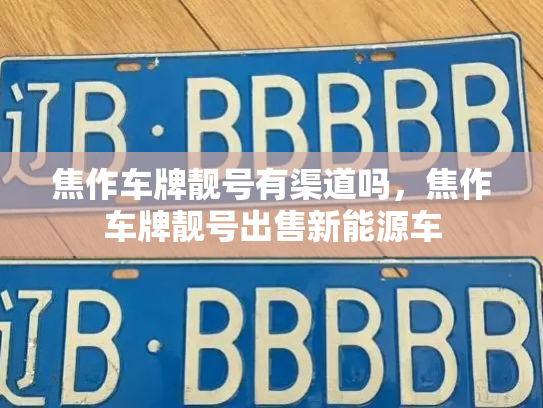 焦作车牌靓号有渠道吗,焦作车牌靓号出售新能源车-第3张图片-七号汽车选号 焦作车牌靓号有渠道吗,焦作车牌靓号出售新能源车-第3张图片-七号汽车选号