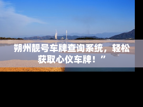 朔州靓号车牌查询系统，轻松获取心仪车牌！”