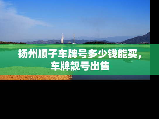 扬州顺子车牌号多少钱能买，车牌靓号出售