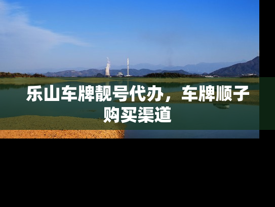 乐山车牌靓号代办，车牌顺子购买渠道