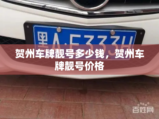 贺州车牌靓号多少钱，贺州车牌靓号价格-第4张图片-七号汽车选号