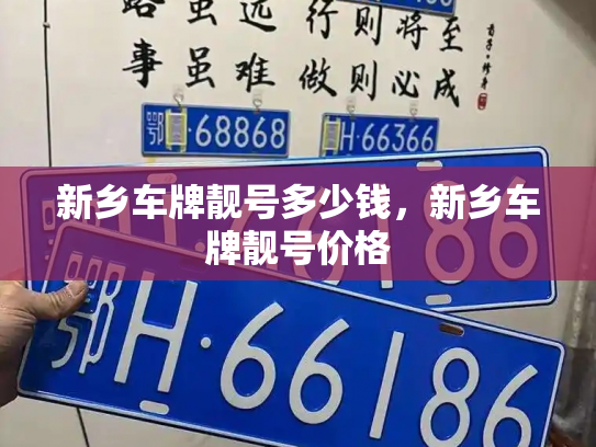 新乡车牌靓号多少钱，新乡车牌靓号价格-第4张图片-七号汽车选号
