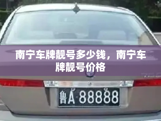 南宁车牌靓号多少钱，南宁车牌靓号价格-第4张图片-七号汽车选号