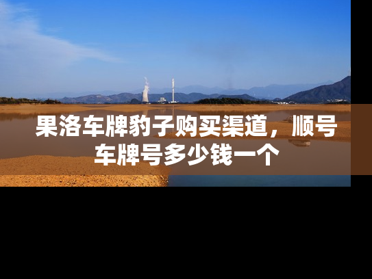果洛车牌豹子购买渠道，顺号车牌号多少钱一个