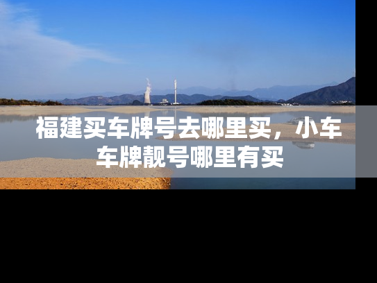 福建买车牌号去哪里买，小车车牌靓号哪里有买