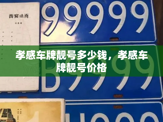 孝感车牌靓号多少钱，孝感车牌靓号价格-第3张图片-七号汽车选号