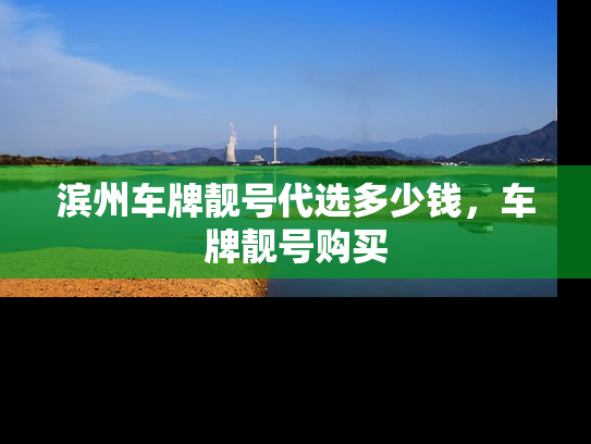 滨州车牌靓号代选多少钱，车牌靓号购买