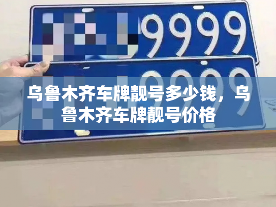 乌鲁木齐车牌靓号多少钱，乌鲁木齐车牌靓号价格-第4张图片-七号汽车选号