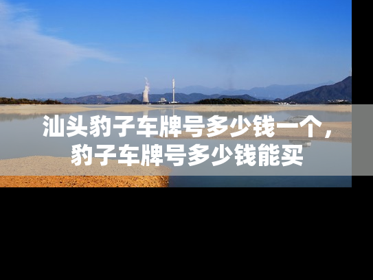 汕头豹子车牌号多少钱一个，豹子车牌号多少钱能买