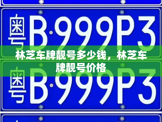 林芝车牌靓号多少钱，林芝车牌靓号价格-第3张图片-七号汽车选号