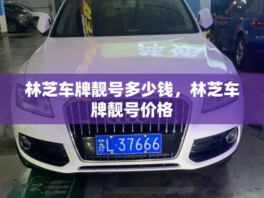 林芝车牌靓号多少钱，林芝车牌靓号价格-第4张图片-七号汽车选号