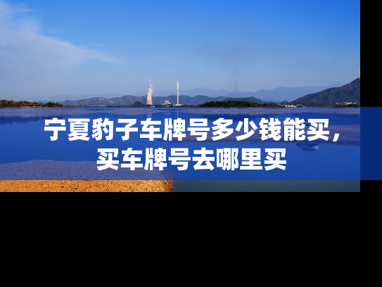 宁夏豹子车牌号多少钱能买，买车牌号去哪里买