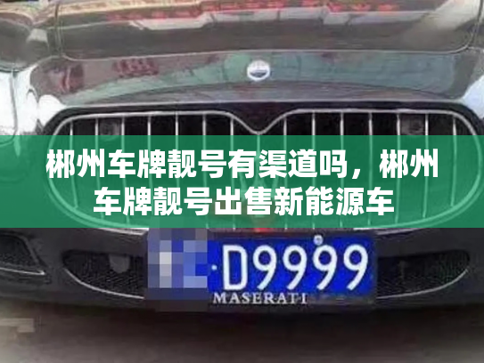 郴州车牌靓号有渠道吗,郴州车牌靓号出售新能源车-第3张图片-七号汽车选号 郴州车牌靓号有渠道吗,郴州车牌靓号出售新能源车-第3张图片-七号汽车选号