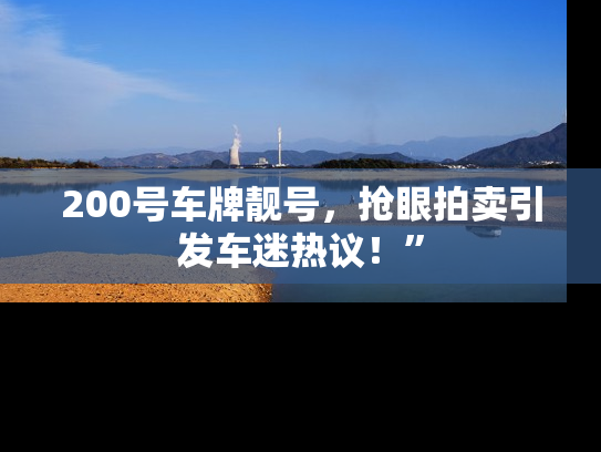 200号车牌靓号，抢眼拍卖引发车迷热议！”