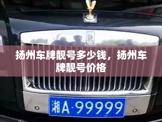 扬州车牌靓号多少钱，扬州车牌靓号价格-第3张图片-七号汽车选号