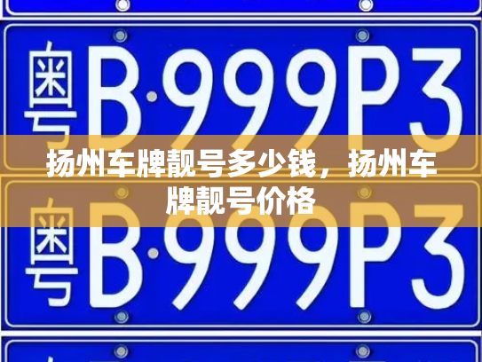扬州车牌靓号多少钱，扬州车牌靓号价格-第4张图片-七号汽车选号