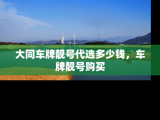 大同车牌靓号代选多少钱，车牌靓号购买