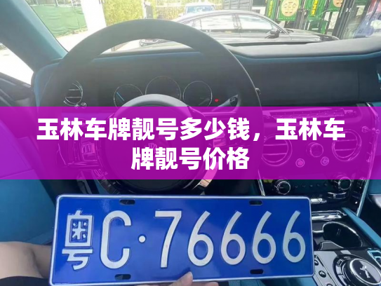 玉林车牌靓号多少钱，玉林车牌靓号价格-第4张图片-七号汽车选号
