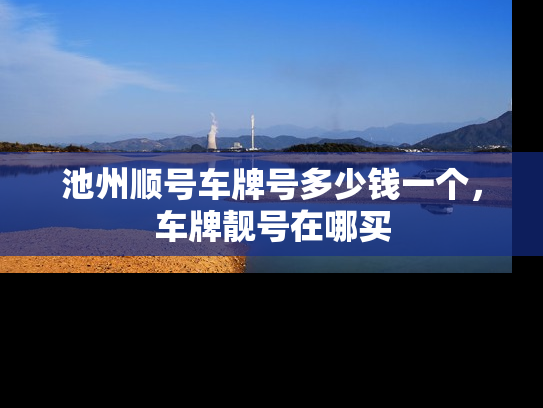 池州顺号车牌号多少钱一个，车牌靓号在哪买
