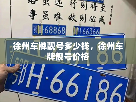 徐州车牌靓号多少钱，徐州车牌靓号价格-第4张图片-七号汽车选号