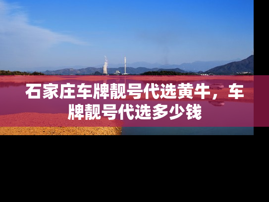 石家庄车牌靓号代选黄牛，车牌靓号代选多少钱