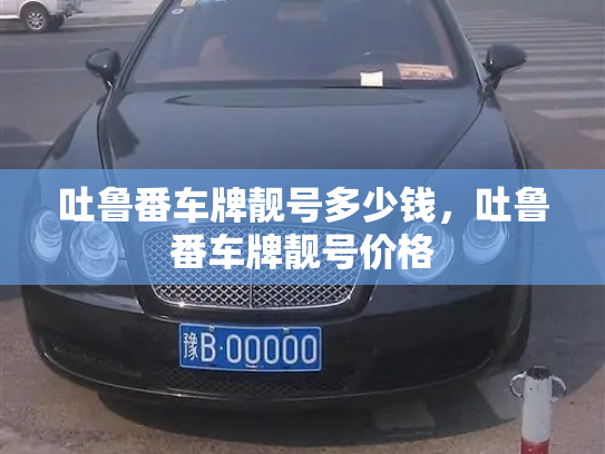 吐鲁番车牌靓号多少钱，吐鲁番车牌靓号价格-第4张图片-七号汽车选号