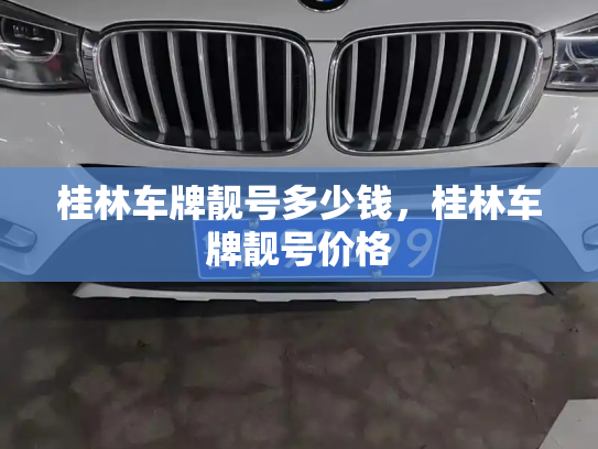 桂林车牌靓号多少钱，桂林车牌靓号价格-第4张图片-七号汽车选号