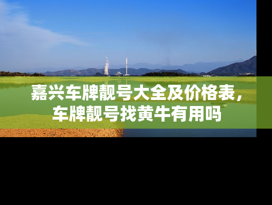 嘉兴车牌靓号大全及价格表，车牌靓号找黄牛有用吗