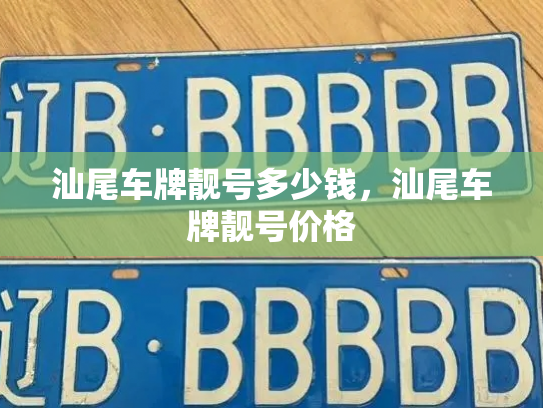 汕尾车牌靓号多少钱，汕尾车牌靓号价格-第3张图片-七号汽车选号