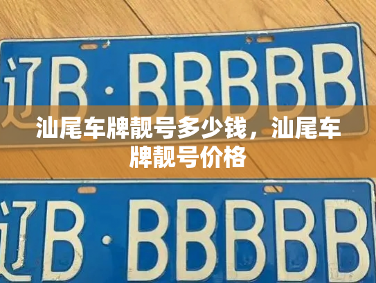 汕尾车牌靓号多少钱，汕尾车牌靓号价格-第4张图片-七号汽车选号