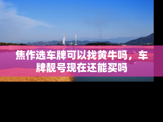 焦作选车牌可以找黄牛吗，车牌靓号现在还能买吗