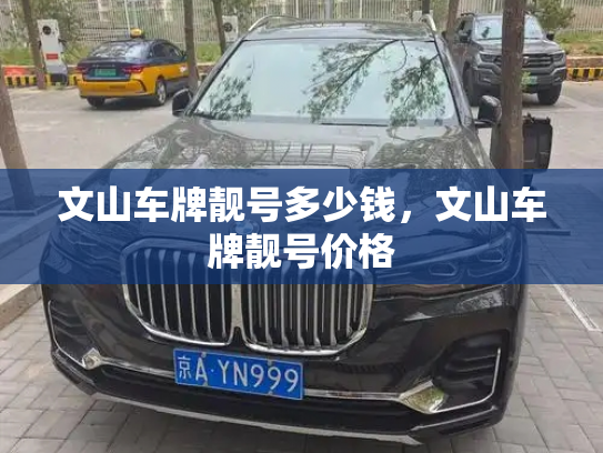 文山车牌靓号多少钱，文山车牌靓号价格-第4张图片-七号汽车选号