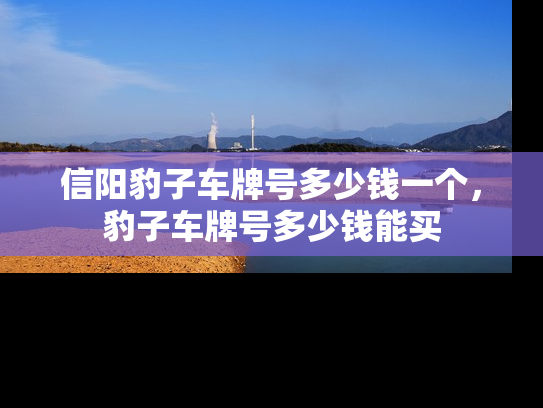 信阳豹子车牌号多少钱一个，豹子车牌号多少钱能买