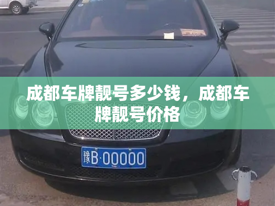 成都车牌靓号多少钱，成都车牌靓号价格-第3张图片-七号汽车选号