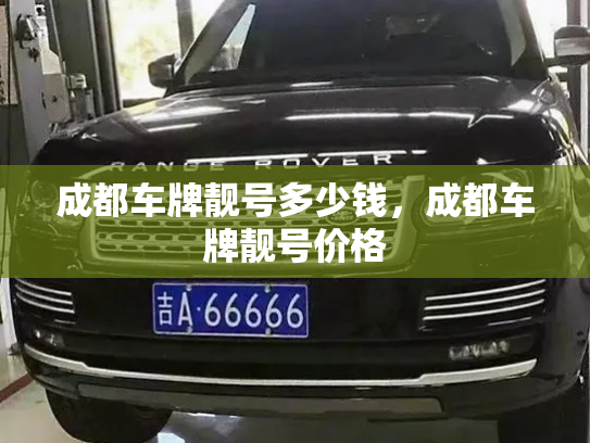 成都车牌靓号多少钱，成都车牌靓号价格-第4张图片-七号汽车选号